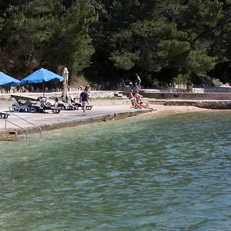 Palit, Rab - 20000 Apartament